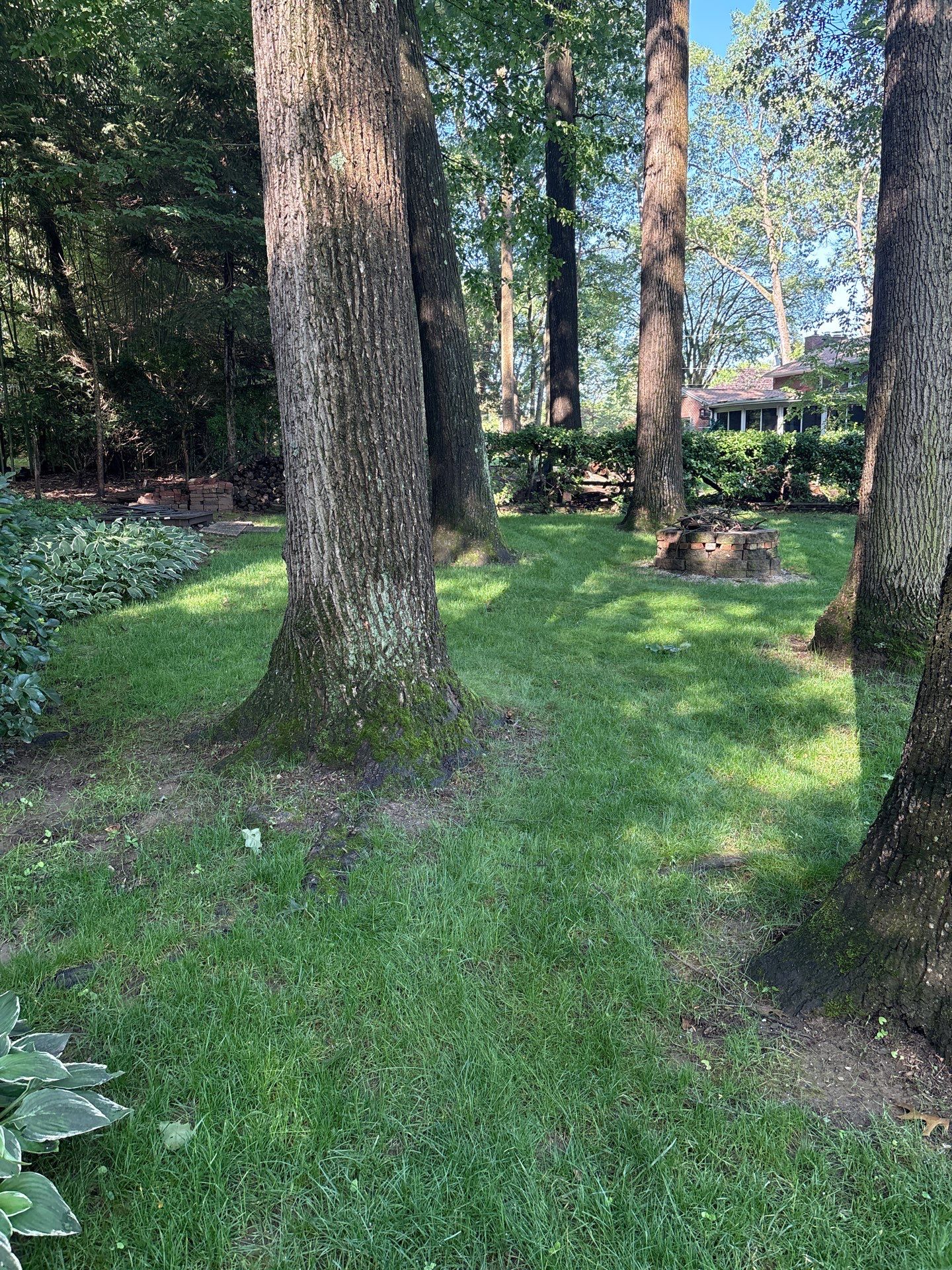 East York Pa by Go Green CLC