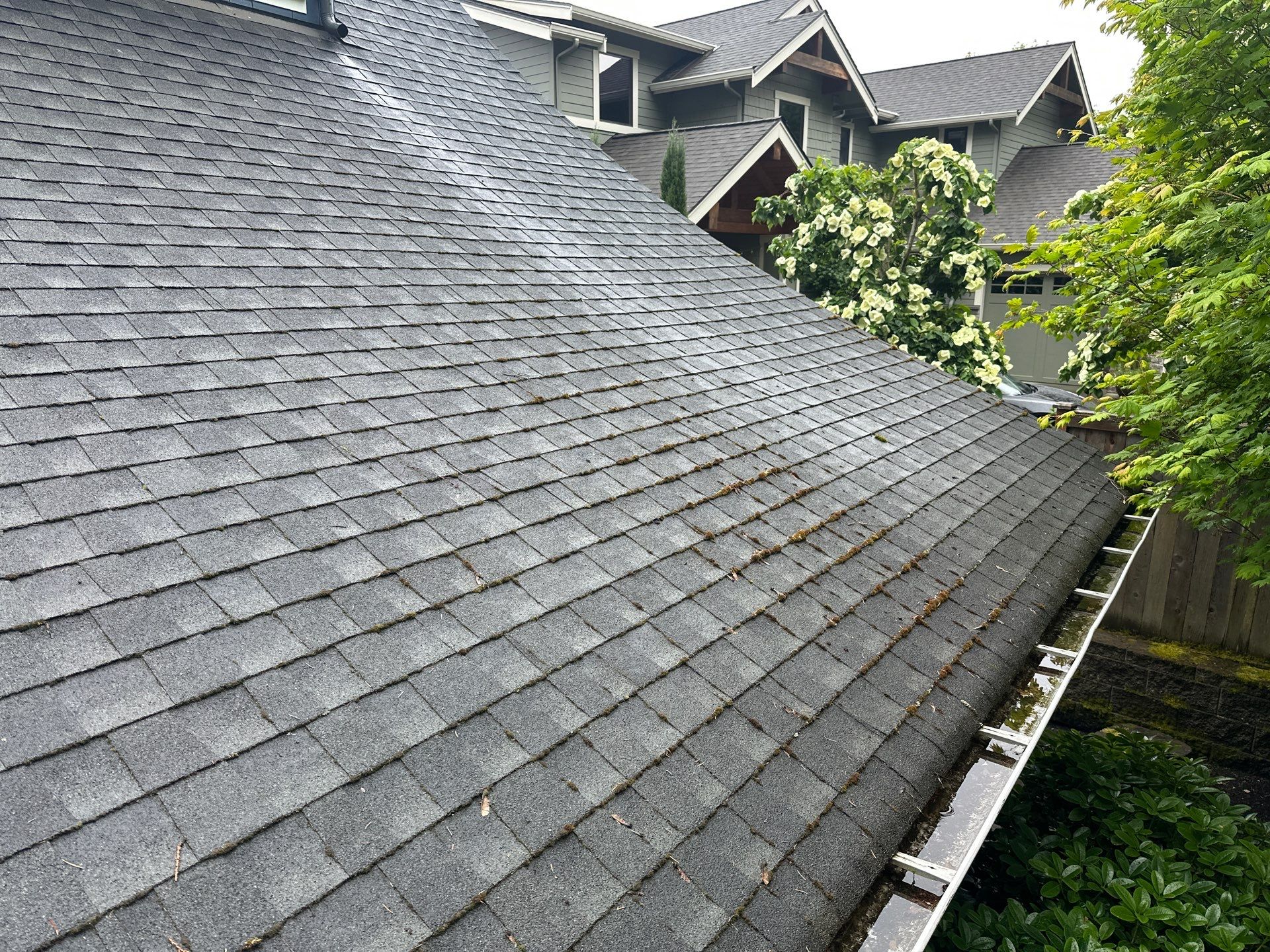 AGS Roof Wash in Mercer Island by WindowWorks