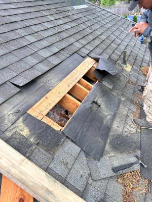 Asphalt Shingle Roof Repair and Sheathing Replacement in East Memphis