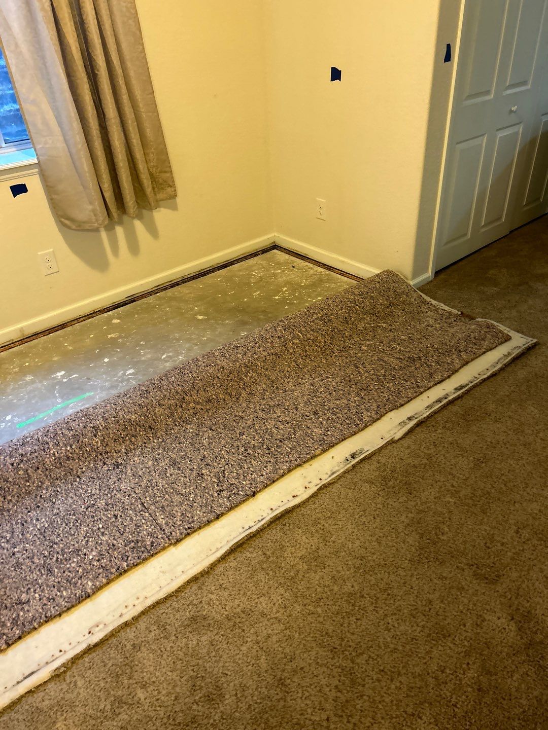 Mold Damage Project in Thornton by Accountable Home Services