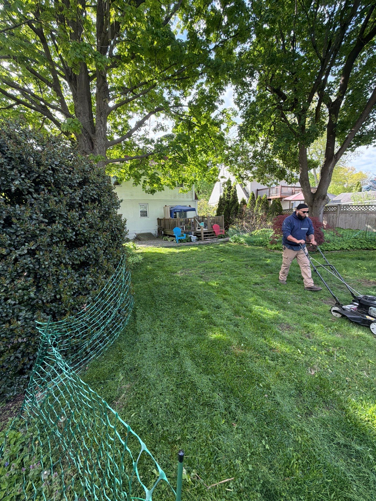 Comprehensive Lawn Care and Hedge Trimming in New Haven by Diamond Image LLC