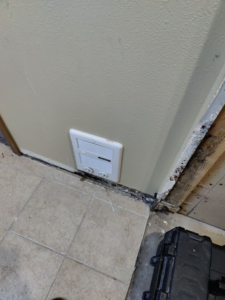 Mold Remediation by Accountable Home Services