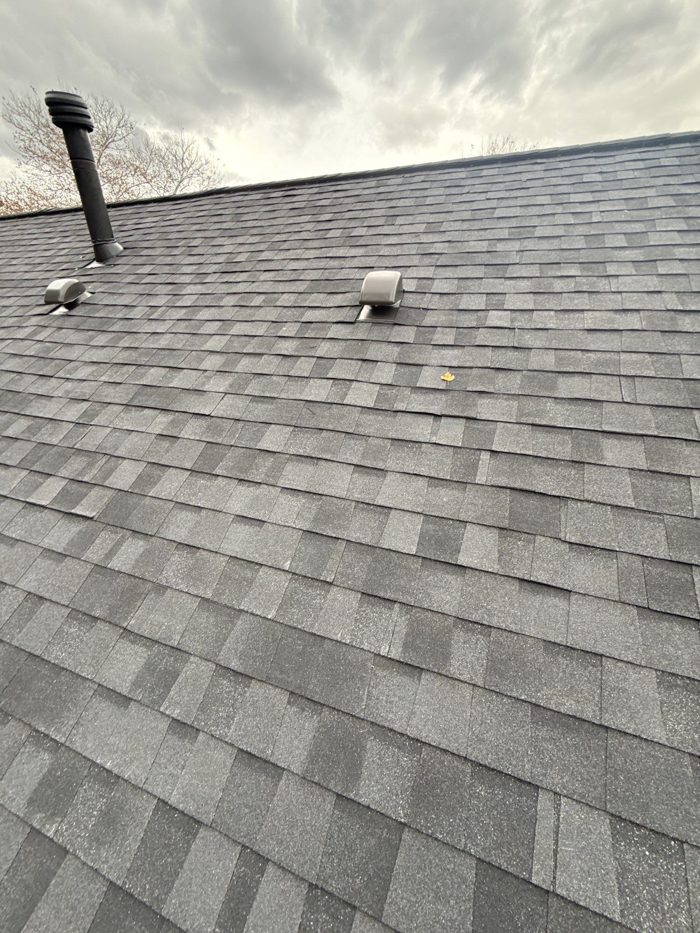 Alexandria :Residential Roof Replacement with CertainTeed Landmark Pro in Max Def Moire Black  by RM Banning, Inc.