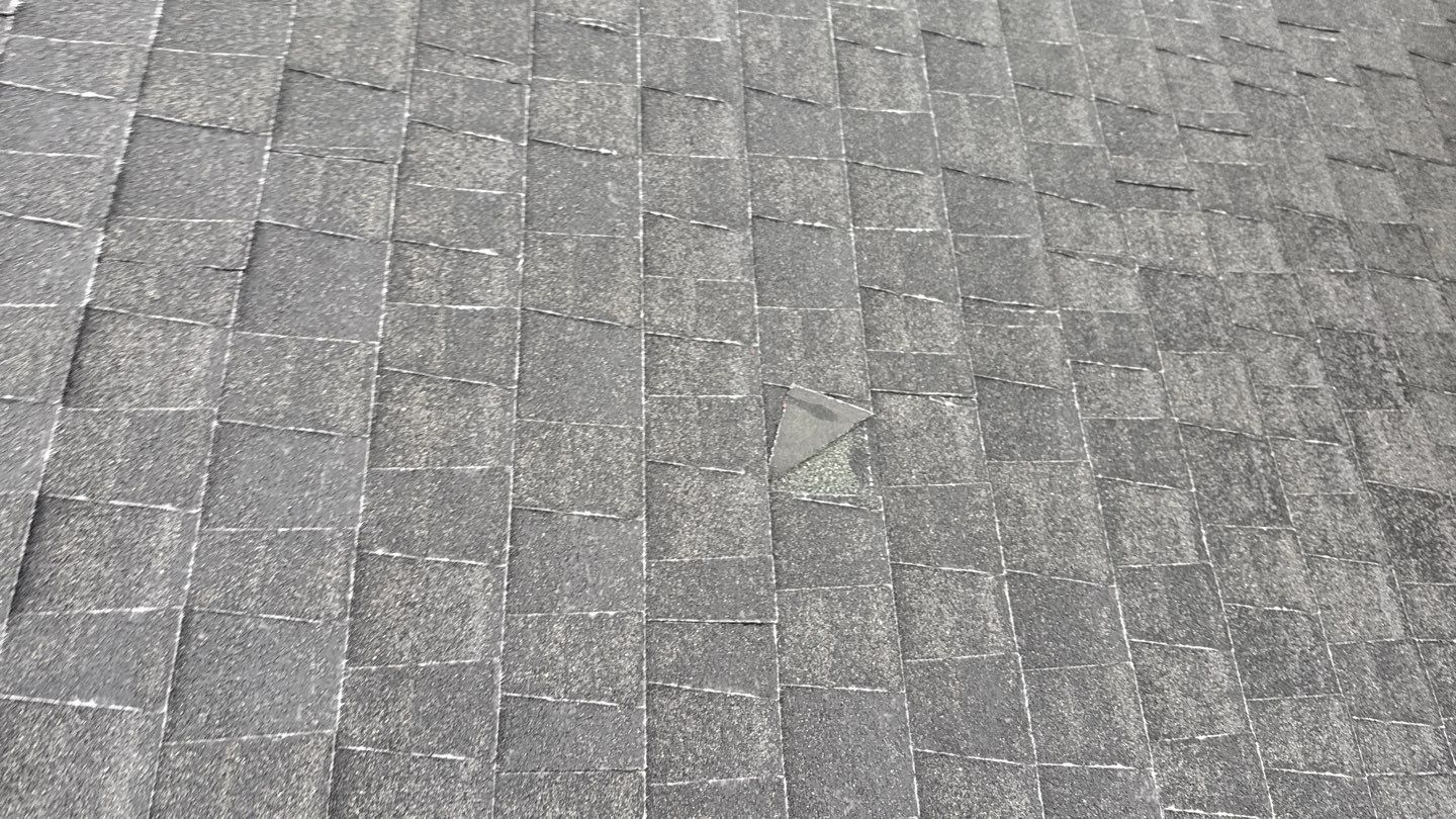 Project in Antelope by NuLead Construction Inc