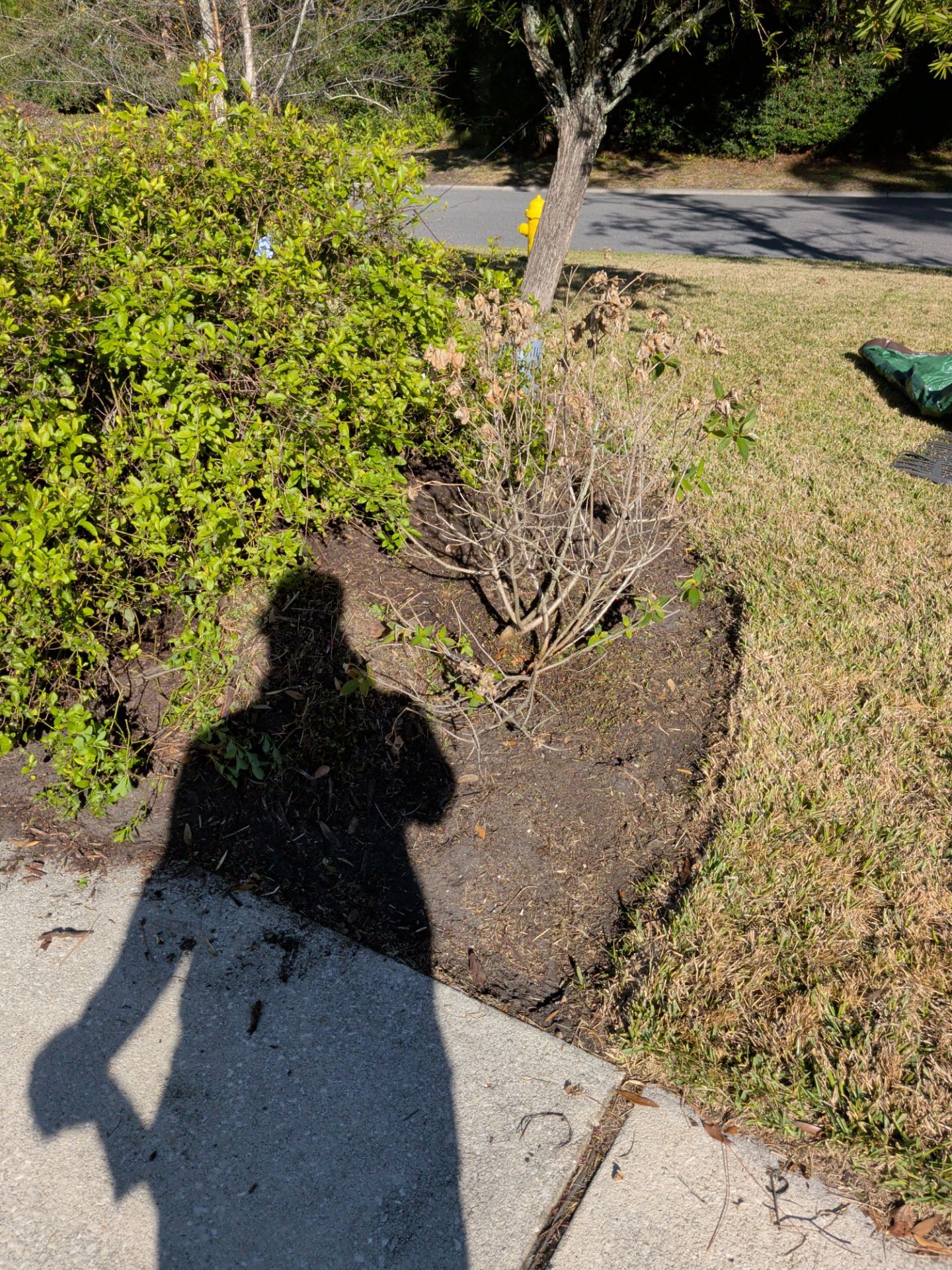 Flower Bed Cleanup & Mulch Preparation — Jacksonville Beach by Harmoni Home Services