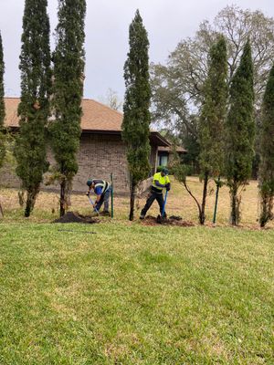 Deerwood Resident | Tree Install