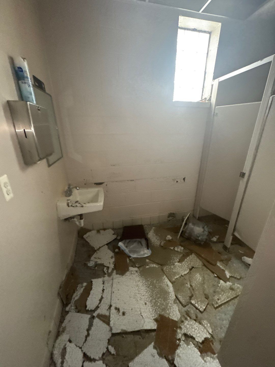 Project in Royal Oak by EzDry Water Mitigation & Property Restoration