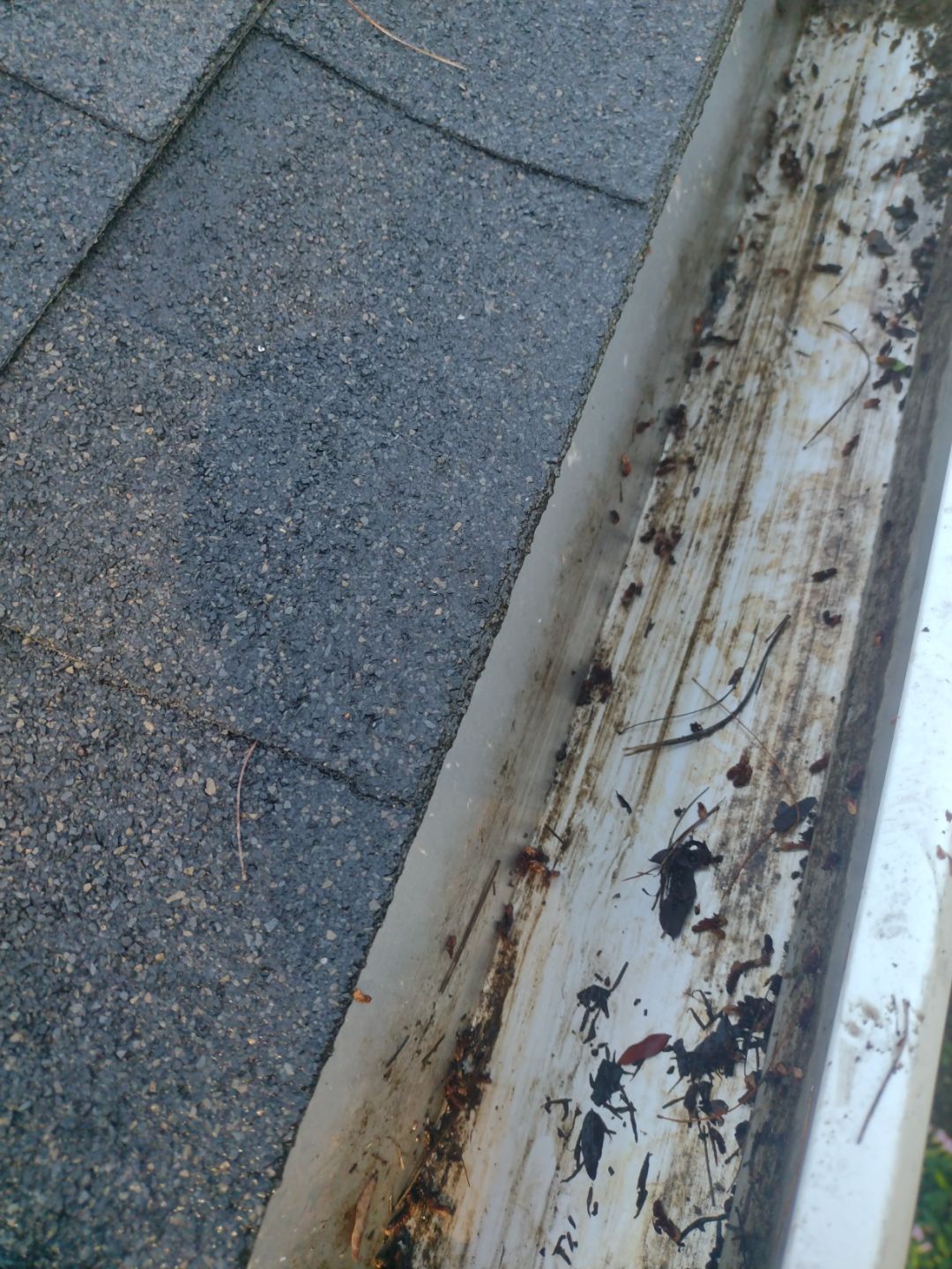 Commercial gutter cleaning Springfield, MI after photo with clean gutters