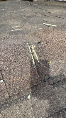 Turtle Shell gutter protection installation in Naperville, IL 60563, photograph 23