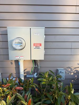 New Panel, Meter Disconnect & Generator Inlet