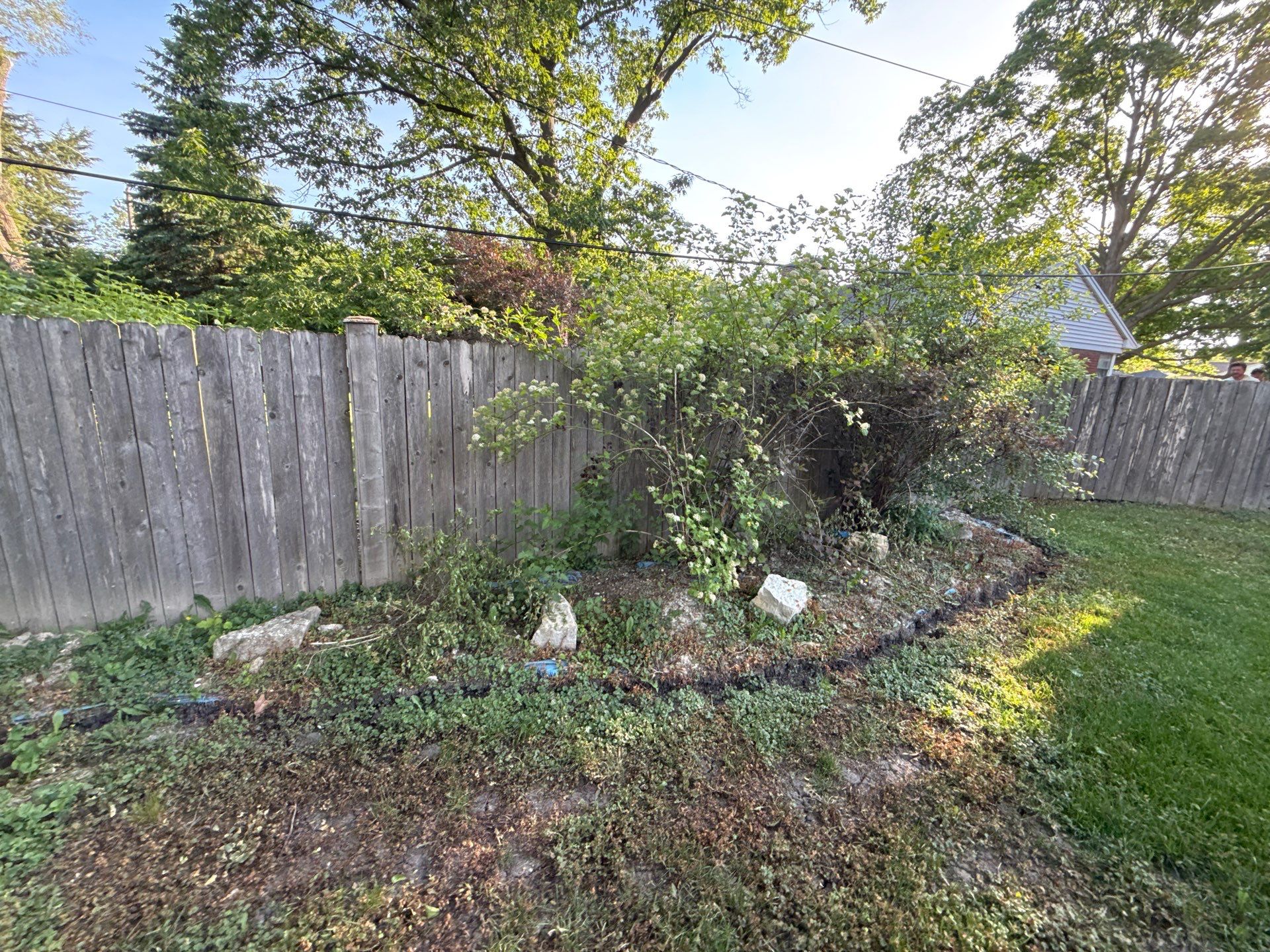 Bryan, F. - Arlington Heights, IL  by A&N 