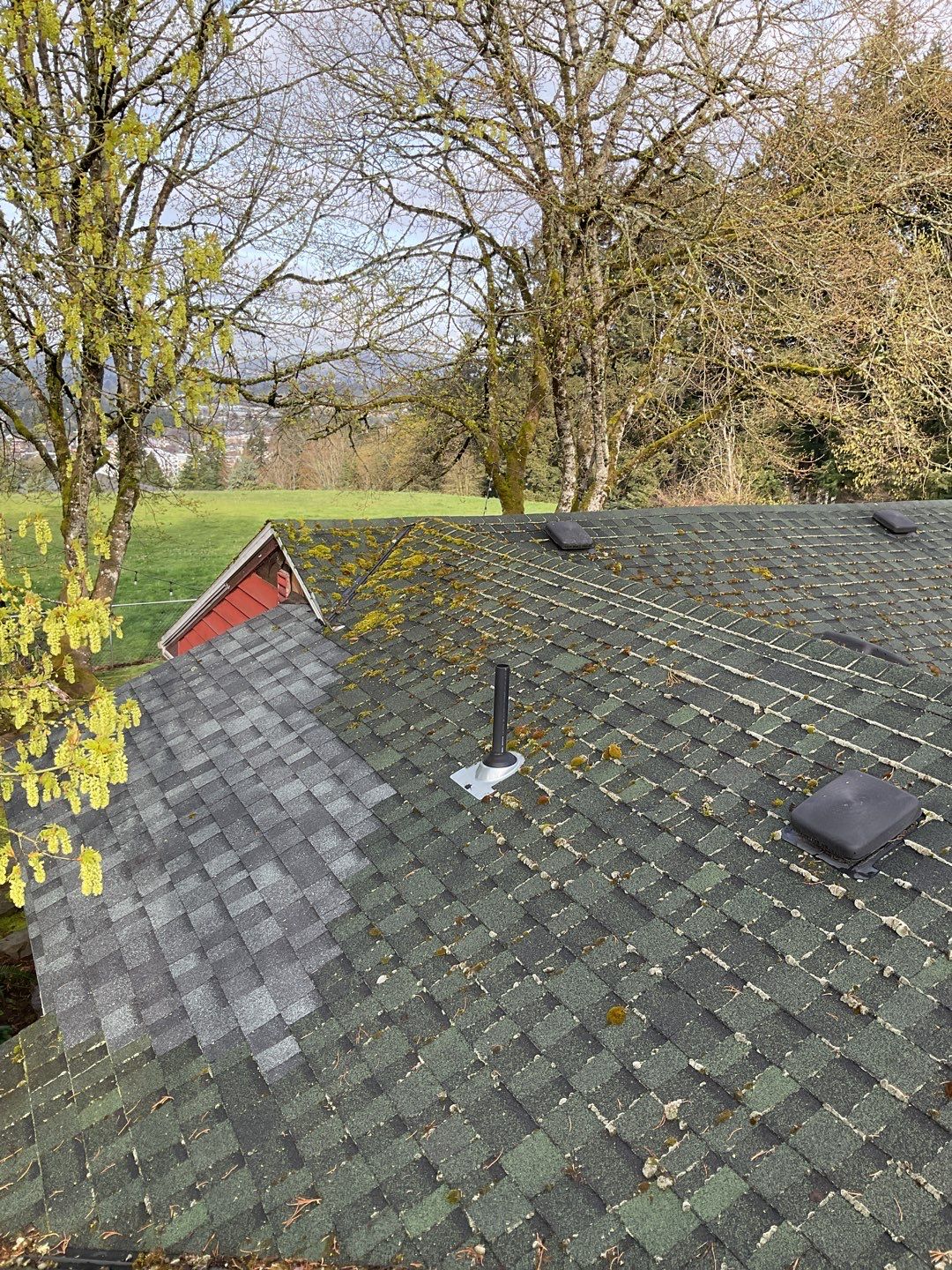 Roof Cleaning Moss Treatment by Willamette Outdoor Wash LLC