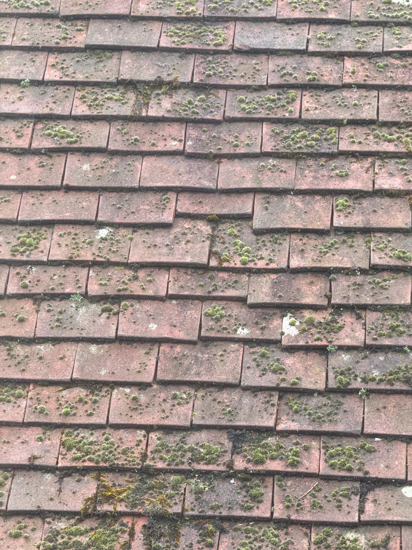 Roof Clean  - Moss Removal - Gutter Clean using Honda 15lpm Low Pressure Washing Machine by Ges Exterior Cleaning ltd