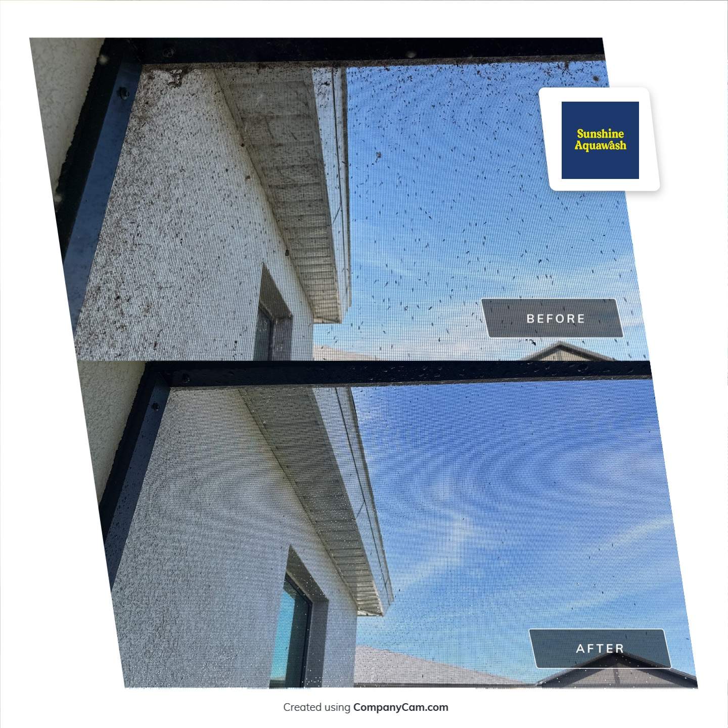 Spider Web Removal, House Wash & Lanai Cleaning in Apollo Beach, FL by Sunshine AquaWash
