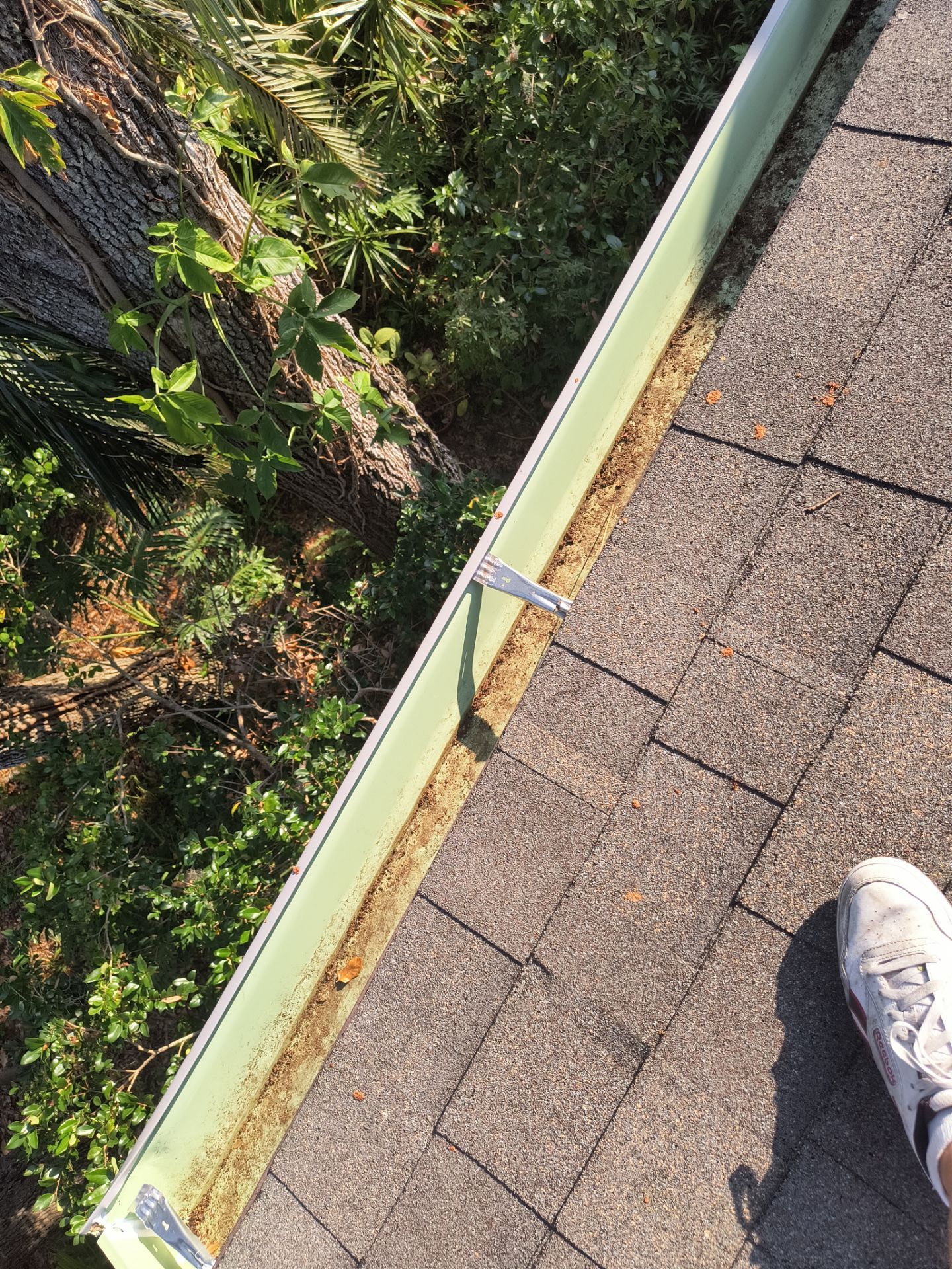 Professional Gutter cleaning Aluminum Seamless Gutters  in Sarasota FL by Gutter Professors