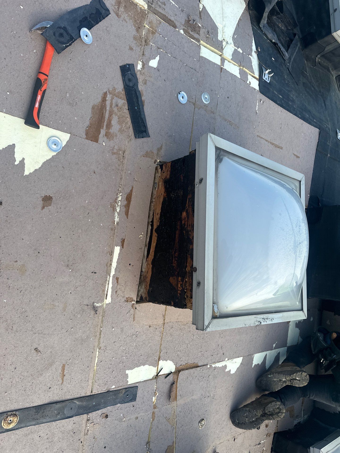 Commercial Roofing using Commercial by Absolute Roofing and Construction