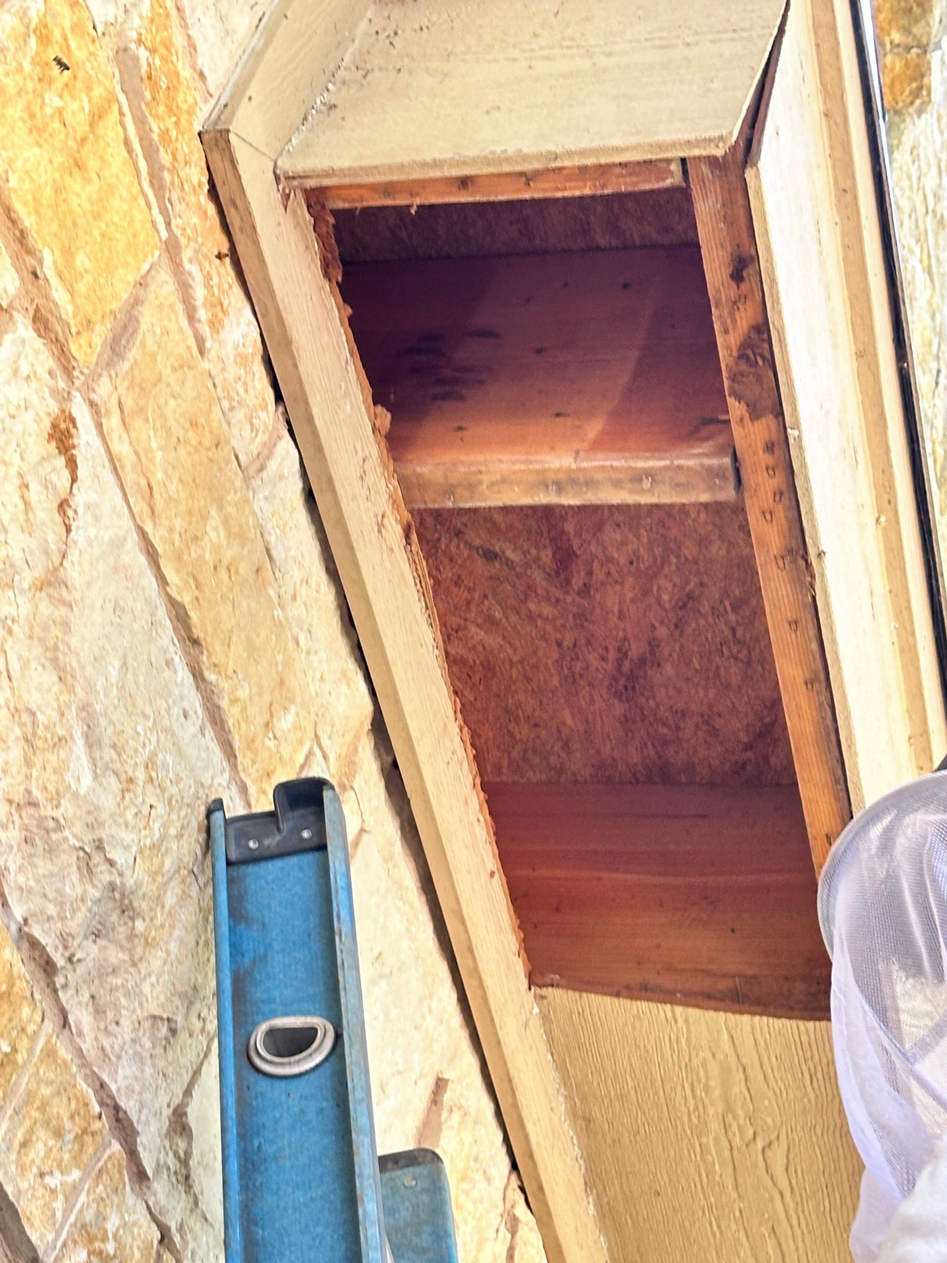 Neighborhood Swarm by Rockwall Honey Bee Company