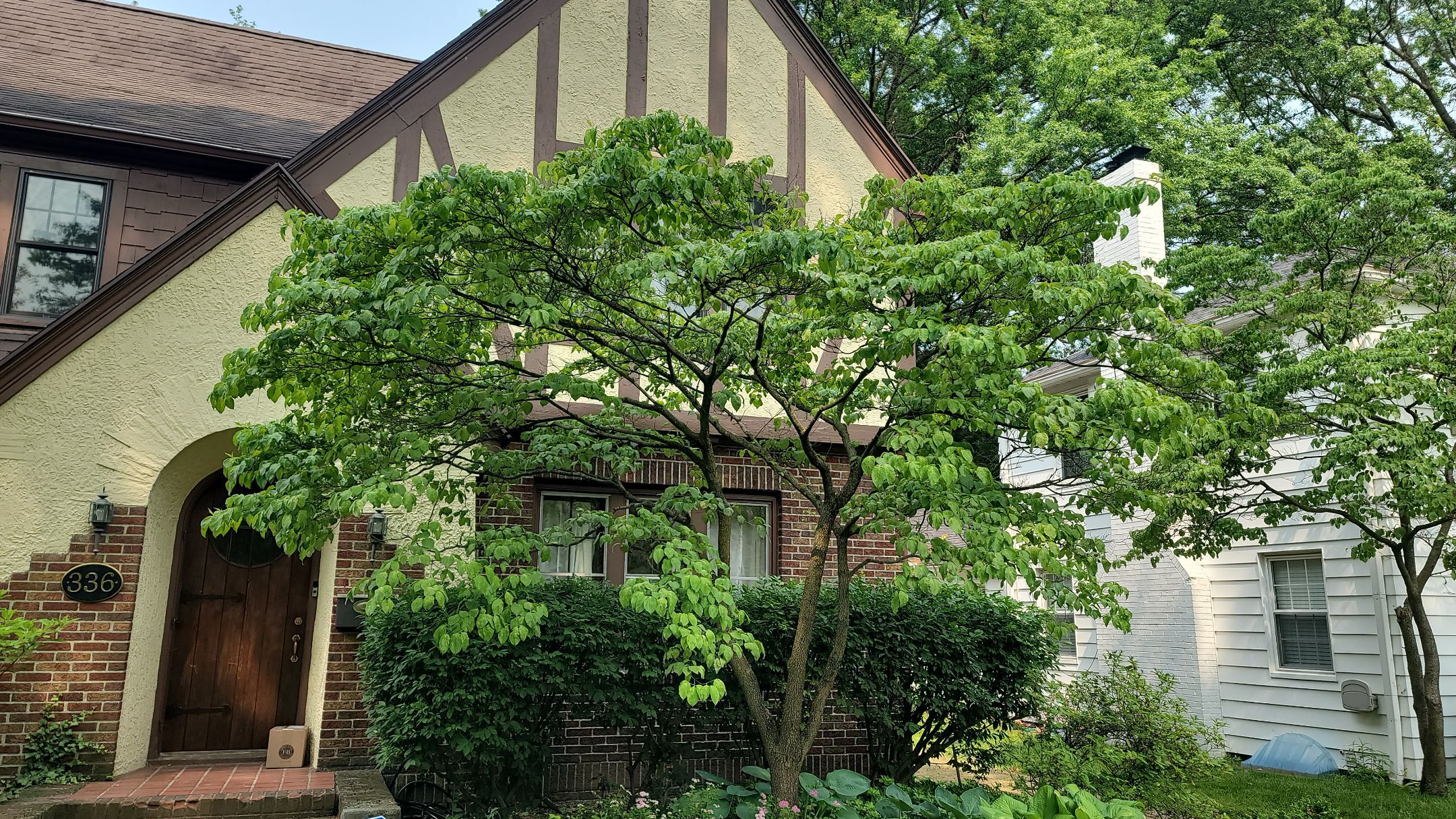 Atlas Pinnacle, Color, Majestic Shake, Drip Edge, Color, Musket Brown by Eagle Eye Roofing