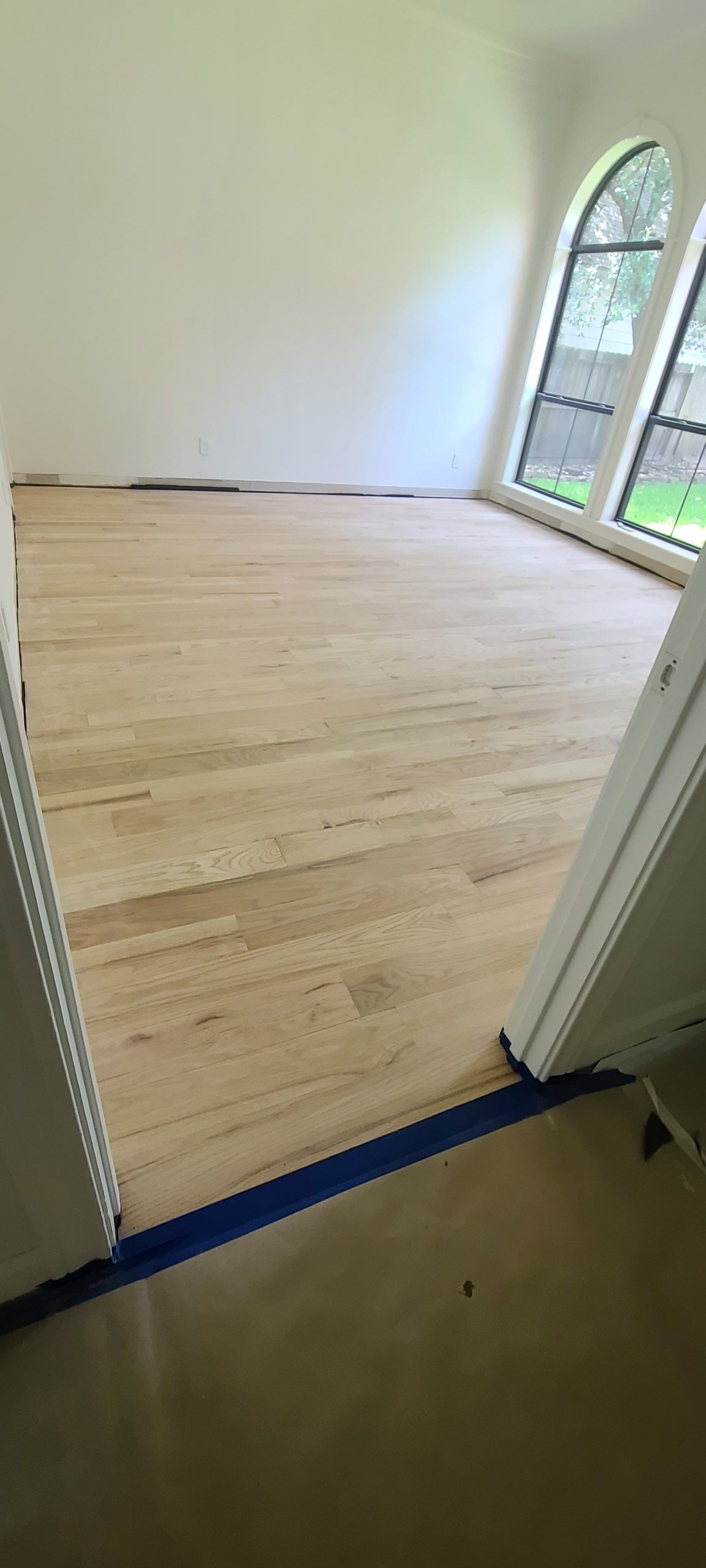 The Napolitano Family by SophAlx LLC