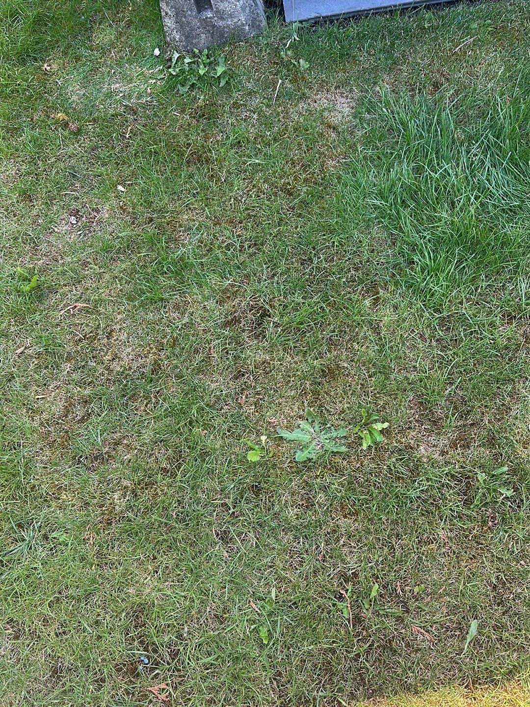 Residential ReRoofing Installation using Duraclad 26ga by Top Notch Roofing Inc