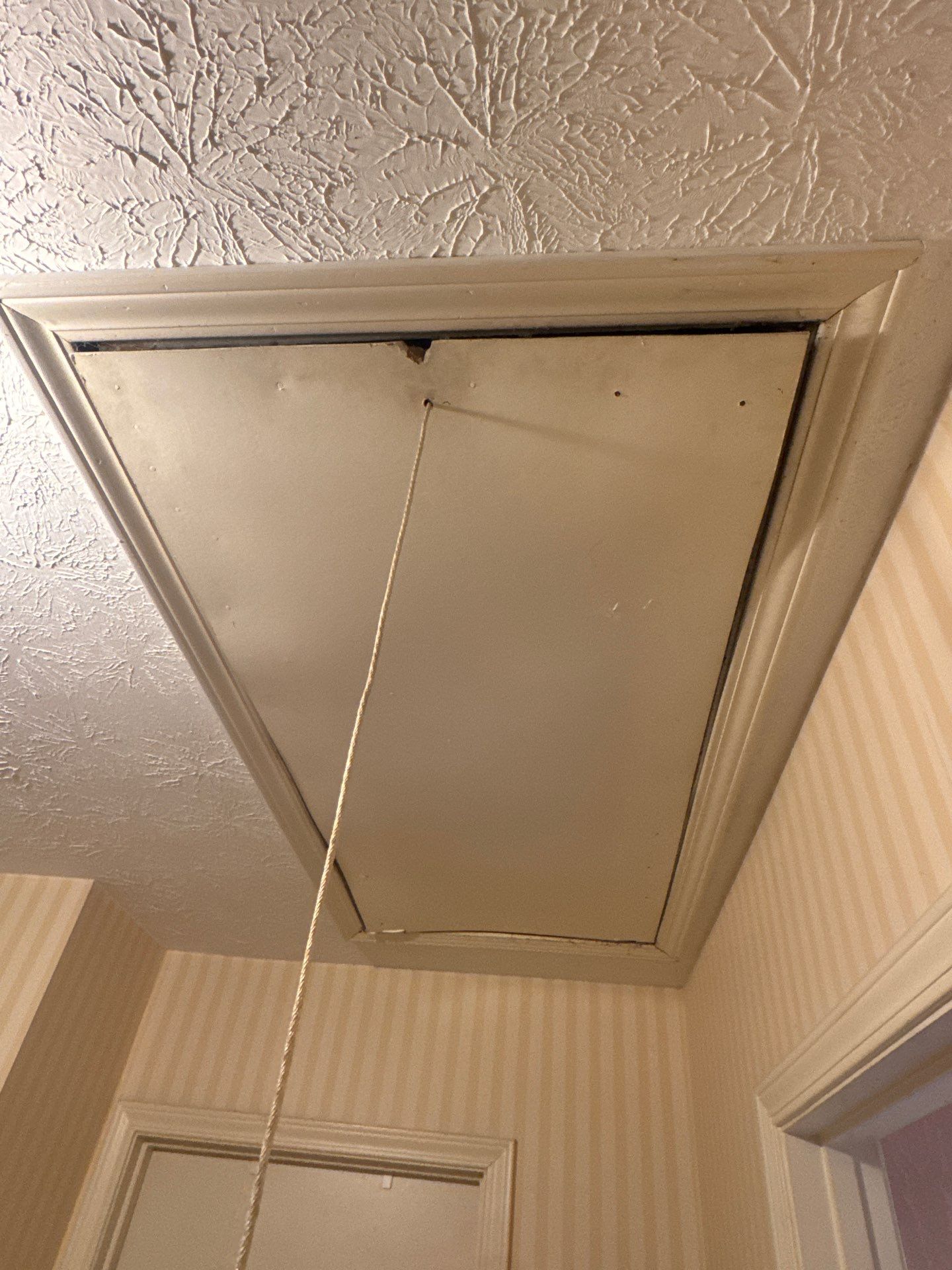 Interior Painting and LVP Flooring Installation in Conyers by PGP Surface Solutions, LLC