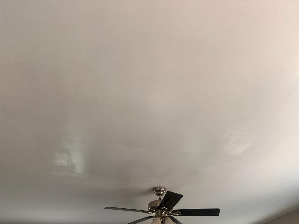 Ceiling Repair with Mold Treatment & Paint Restoration by Laser Focused Solutions LLC