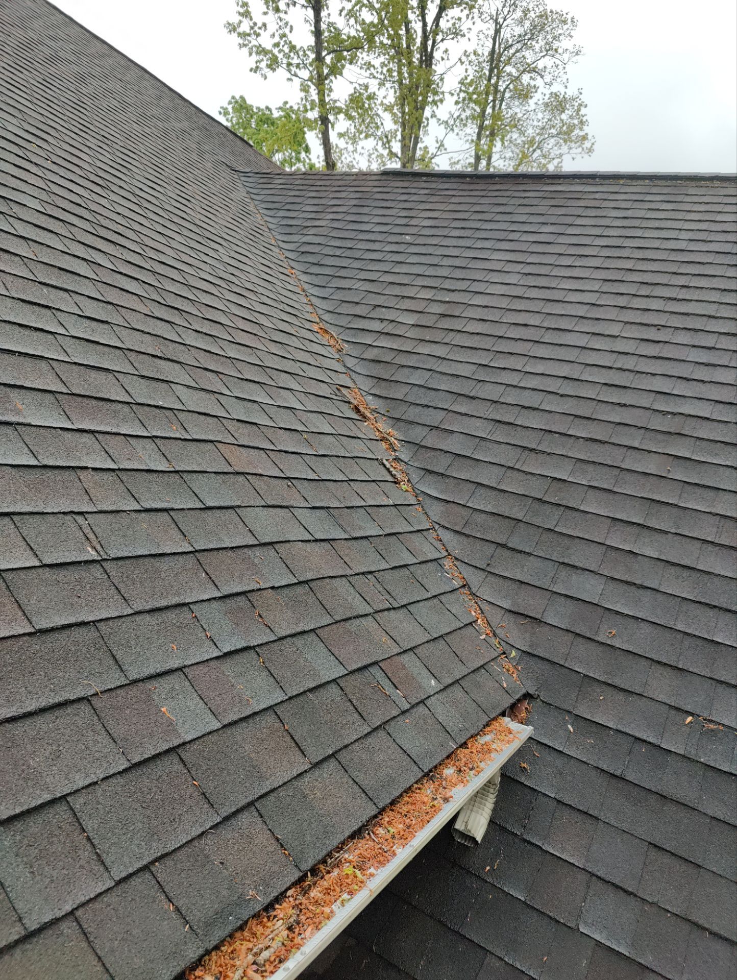 Roof Replacement using CertainTeed Landmark Max Def Shenandoah by 180 Contractors