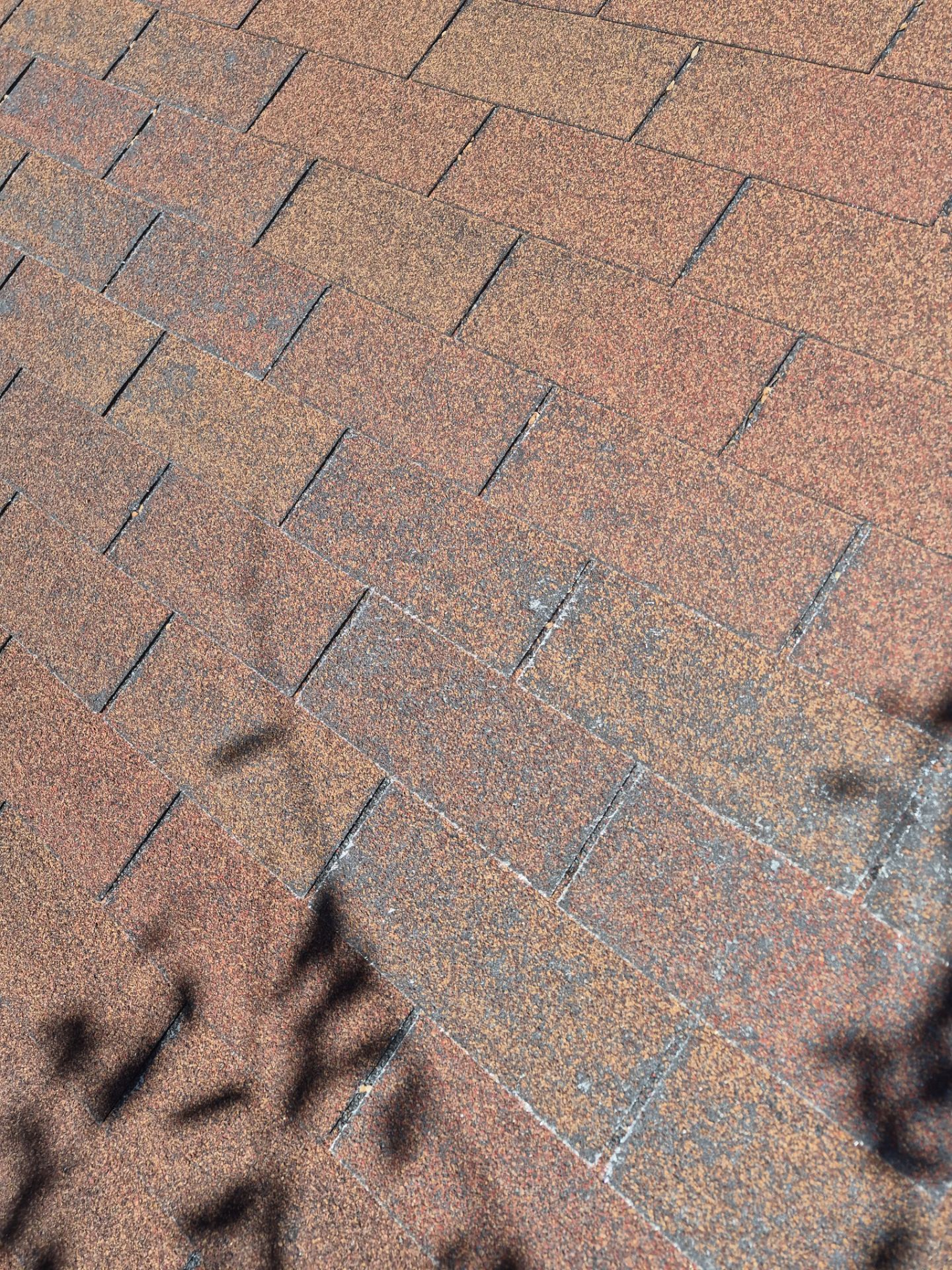 Residential Tarp Repair by Becker Roofing and Exteriors