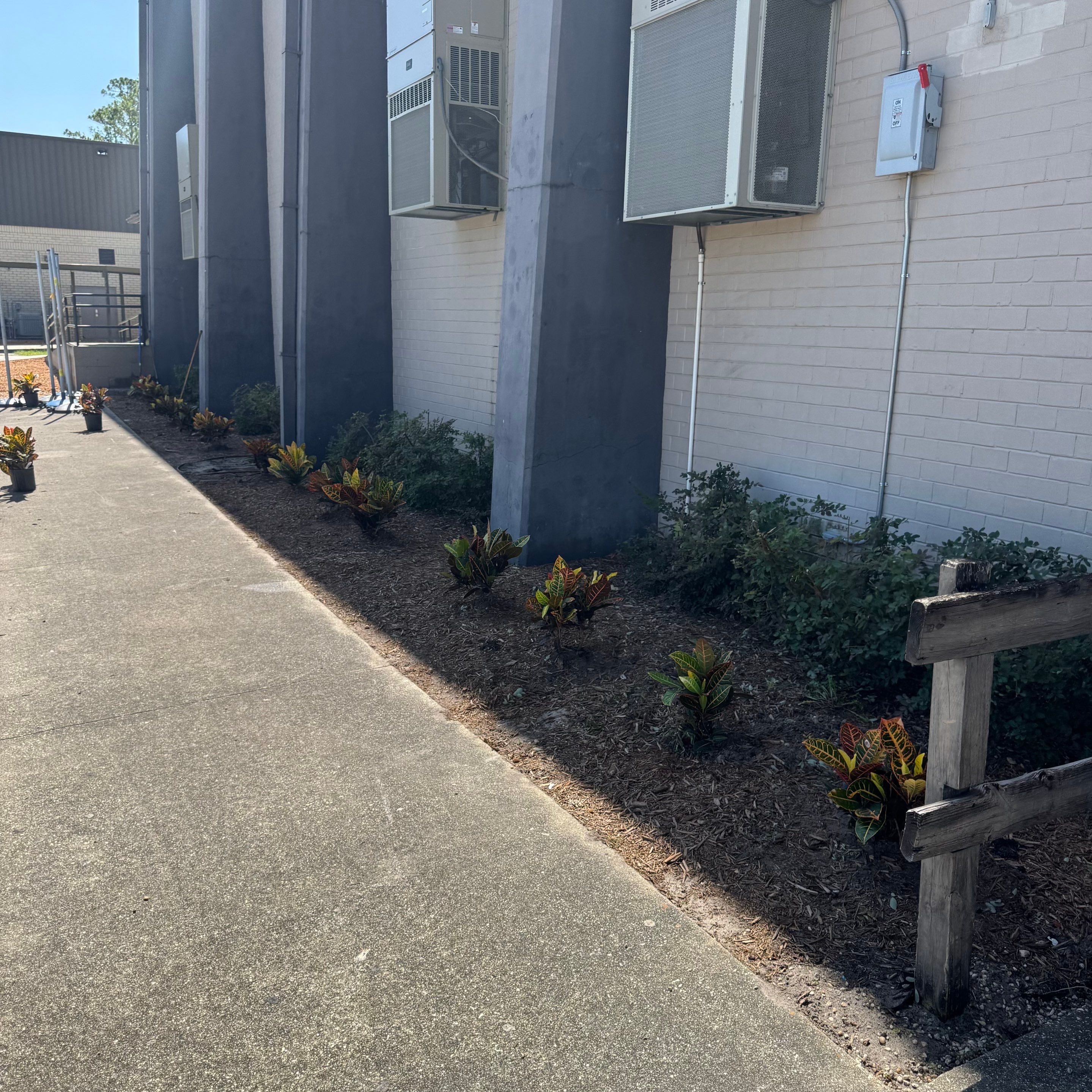 Green Cove Springs Junior High School | Landscape Refresh by ProGreen Services