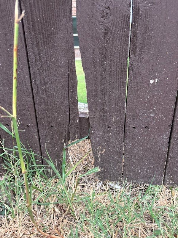 Project in Prosper by NIMBUS GENERAL CONTRACTORS, LLC