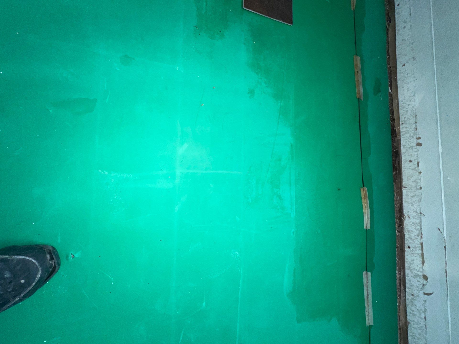 Stansell - water and mold photos  by THE RAPID TEAM