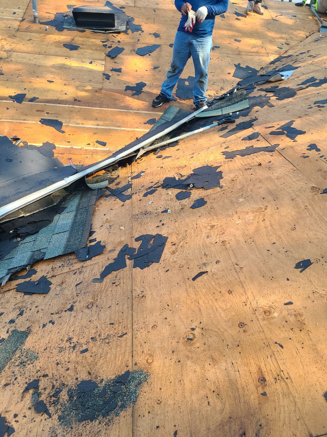 Arlington: Roof Replacement with CertainTeed Landmark Pro in Max Def Georgetown Gray by RM Banning, Inc.