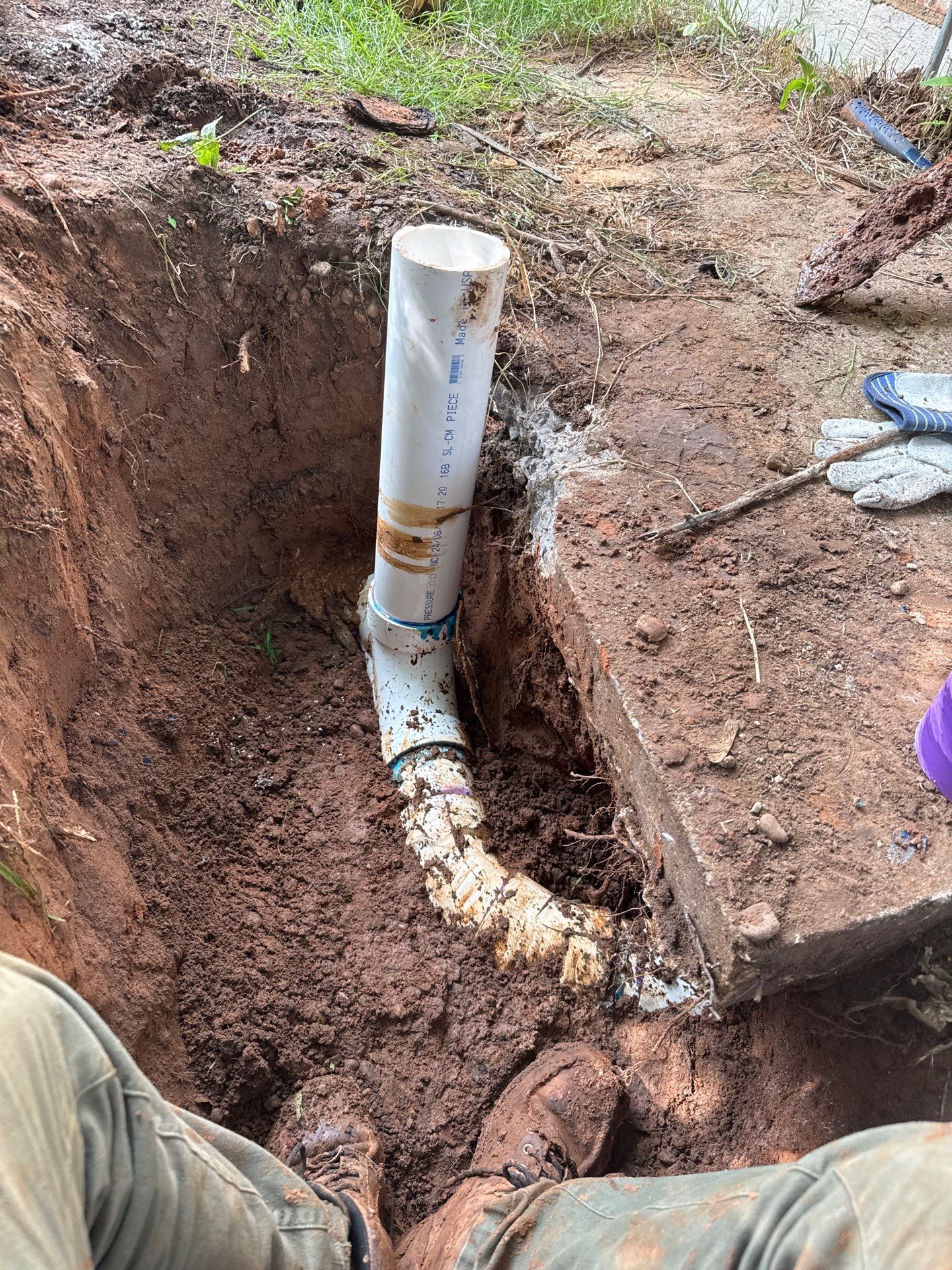 Project in Mustang by PRO-ROOTER