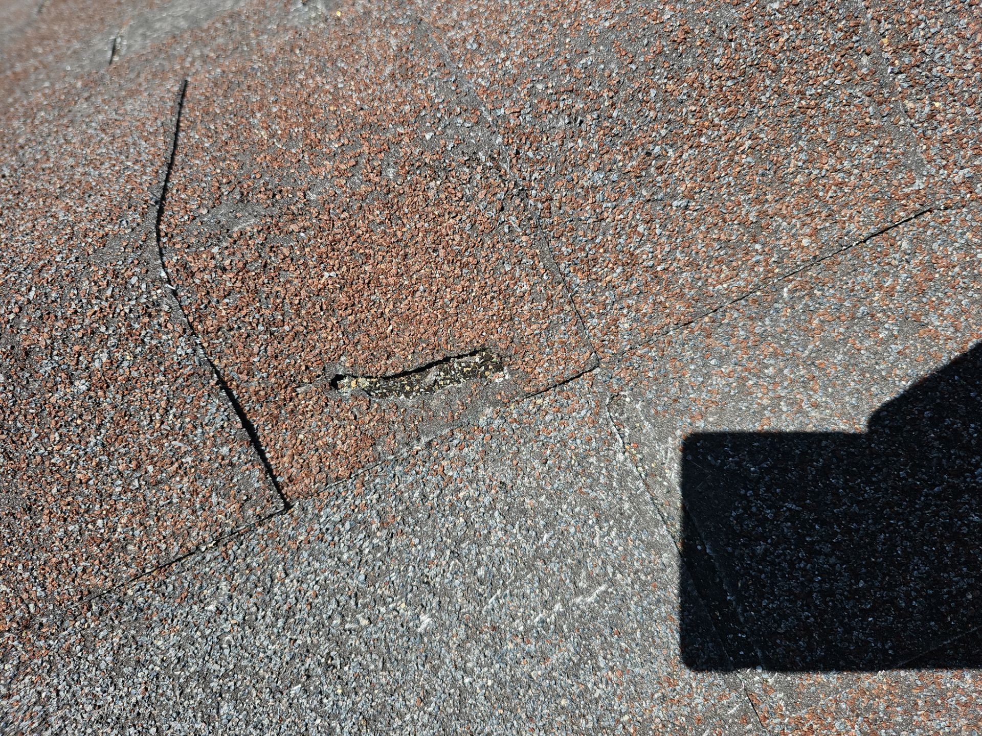 Malarkey Shingles in Arizona by Weather-Tite Exteriors LLC