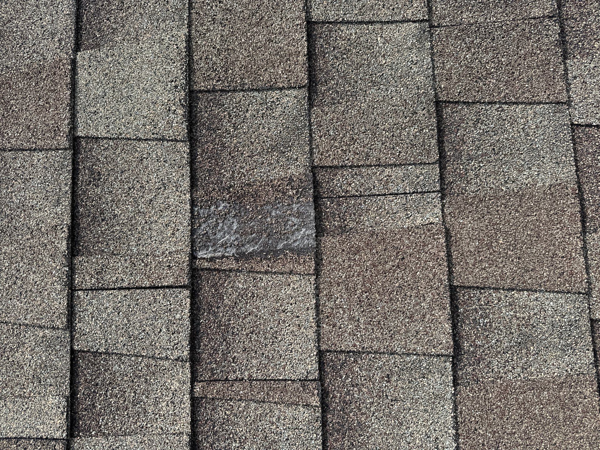 Hail Damage using Owen's Corning Duration (Lifetime) Shingles by Roof Repair Company