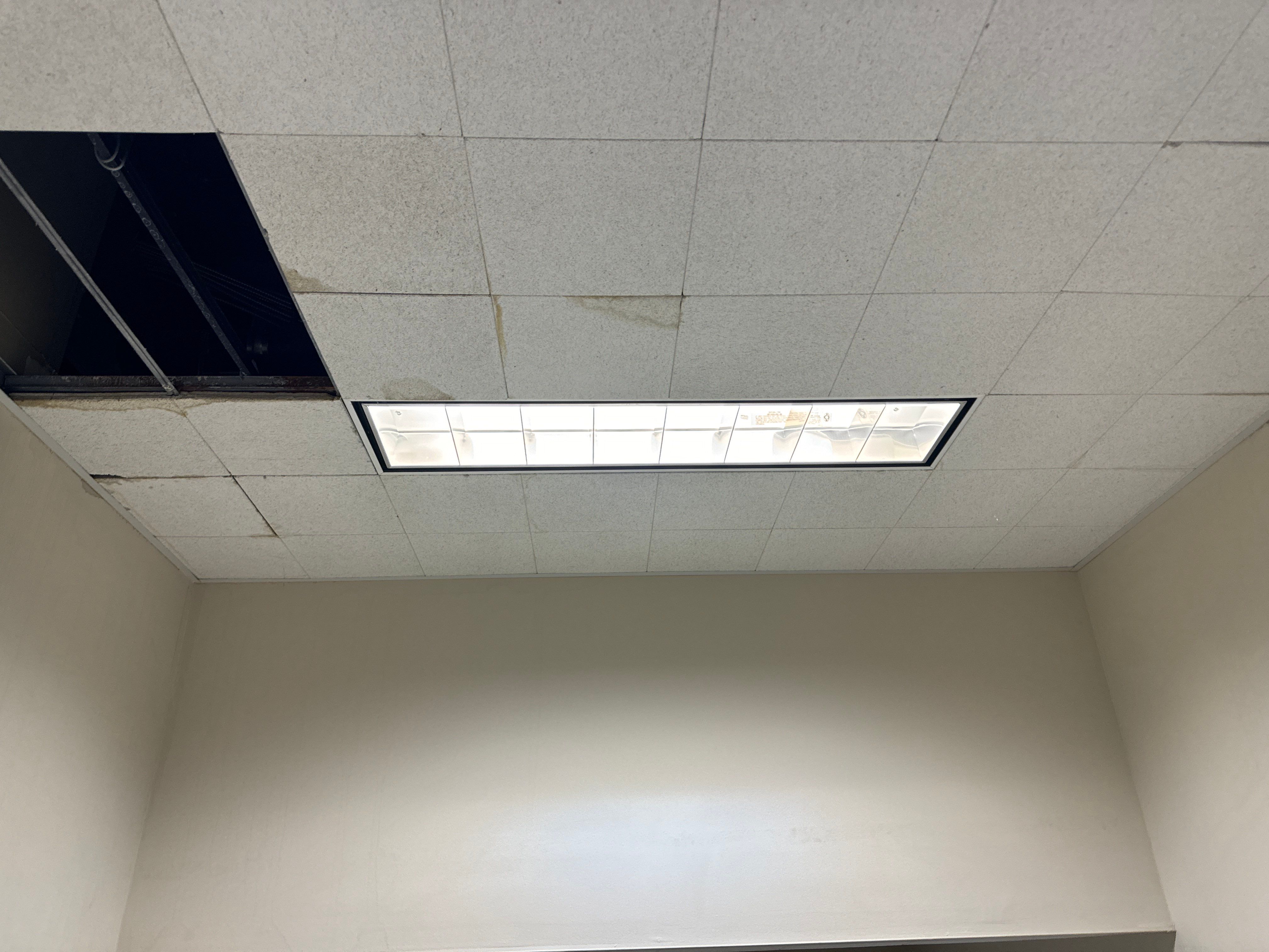 Mold Remediation Fairfield NJ by Pure Service Pro, LLC 