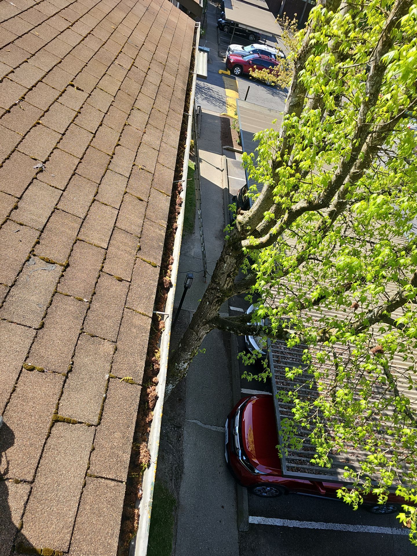 Commercial gutter cleaning Bellevue, WA  before photo with filled gutters
