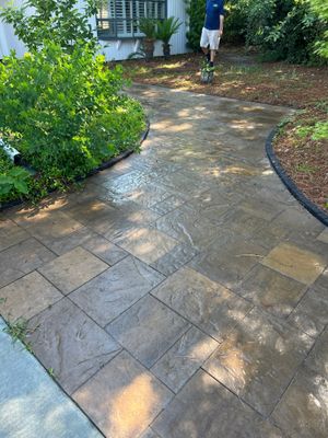 House Washing in Wilmington by Shark Power Washing