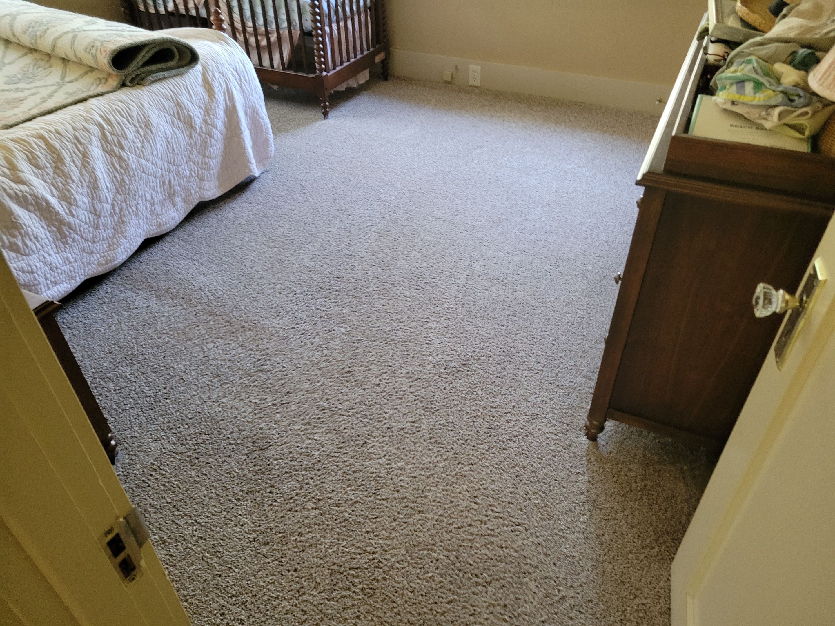 Pet Treatment and Carpet Cleaning by Ardent Carpet Restore LLC
