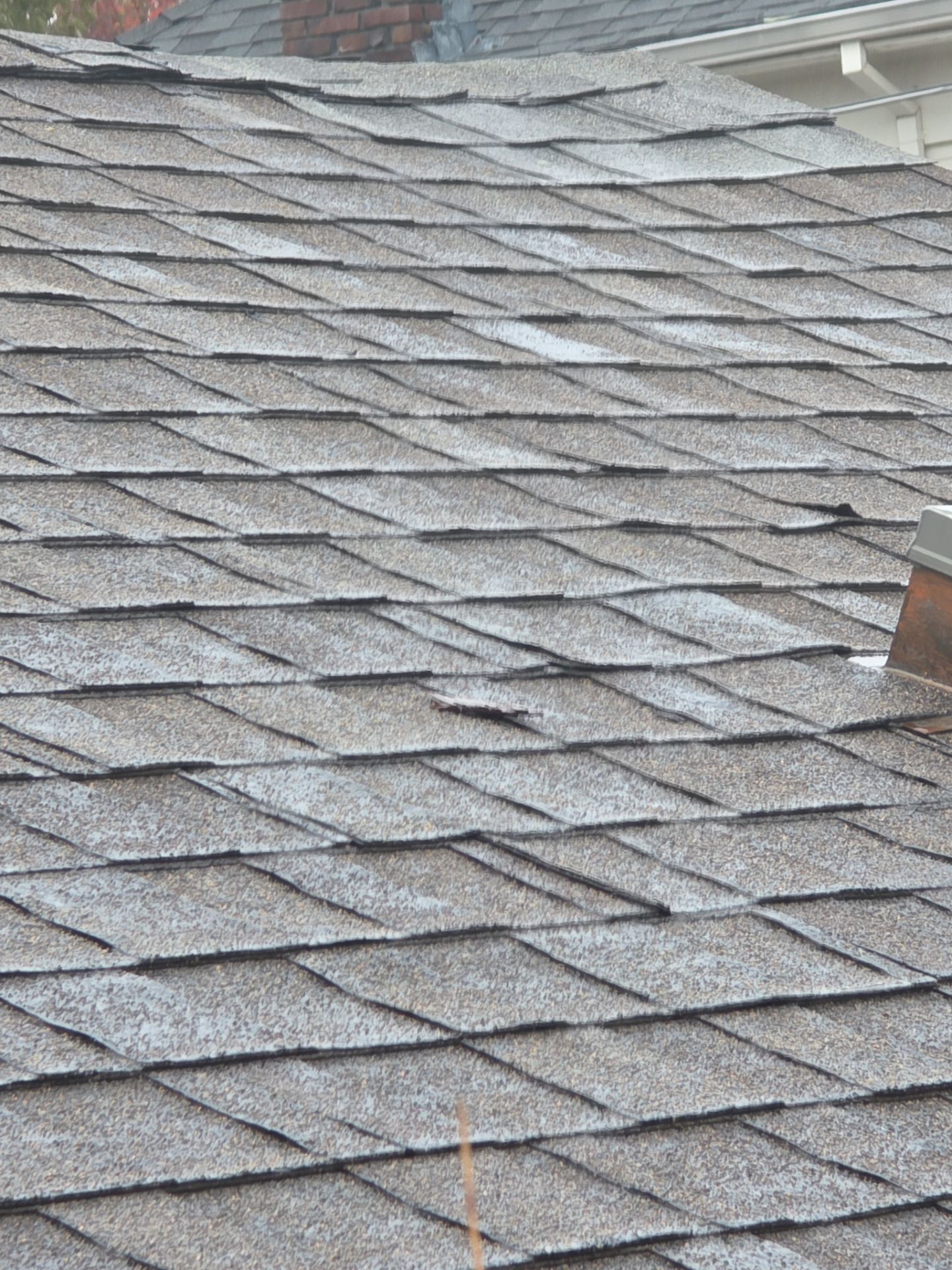 Roof Rejuvenation using Roof Maxx Treatment by Roof Maxx of Folsom