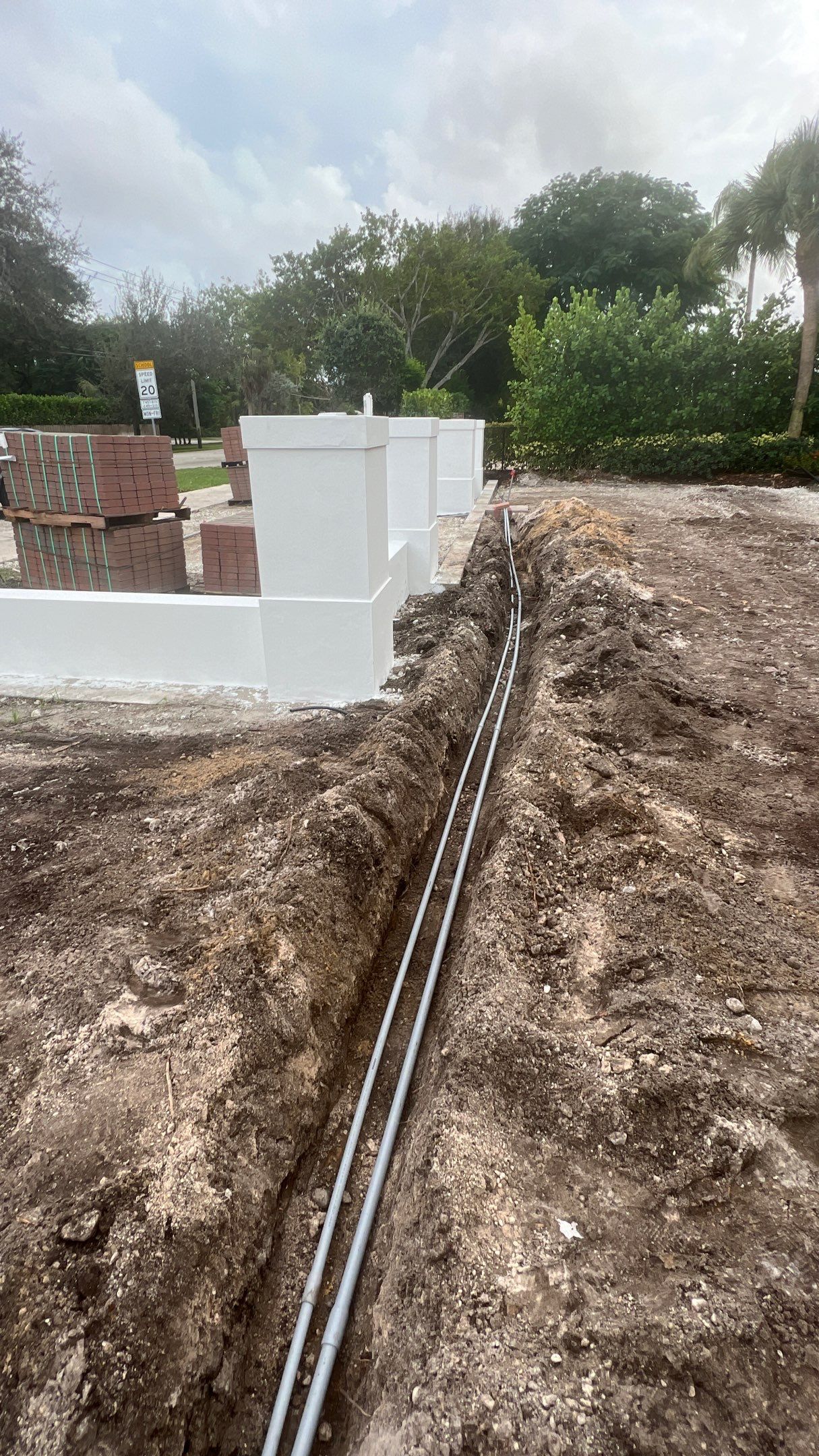 Hazard  by The Landscaping People