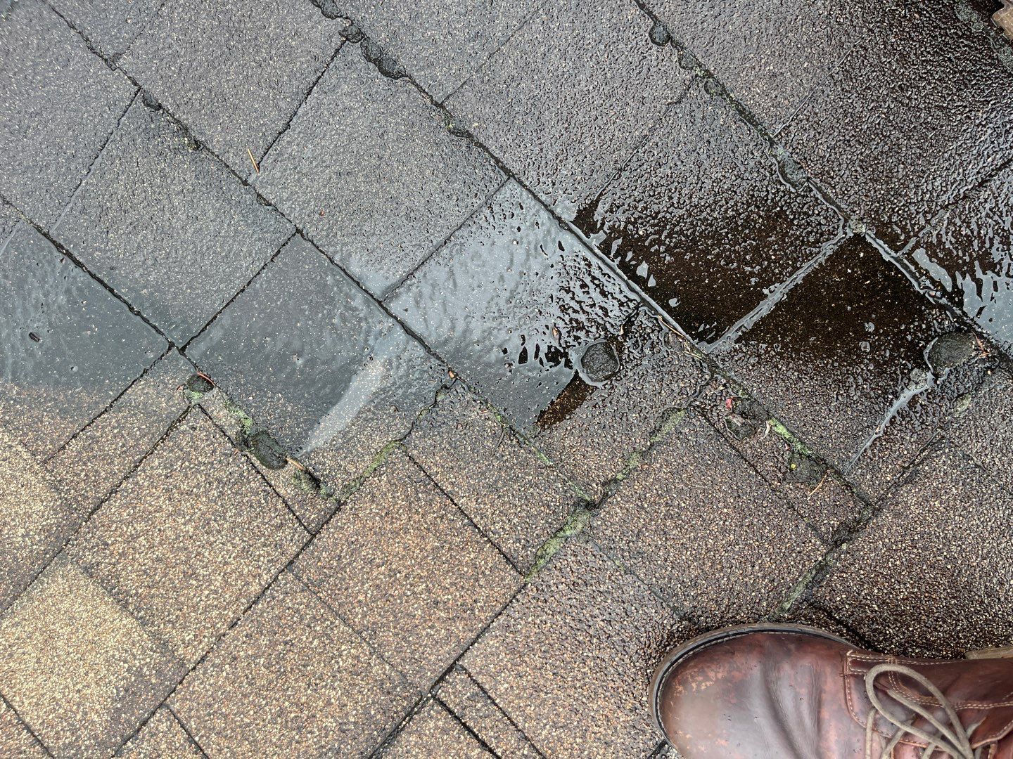 Shingle Re-Roof by Top Notch Roofing Inc