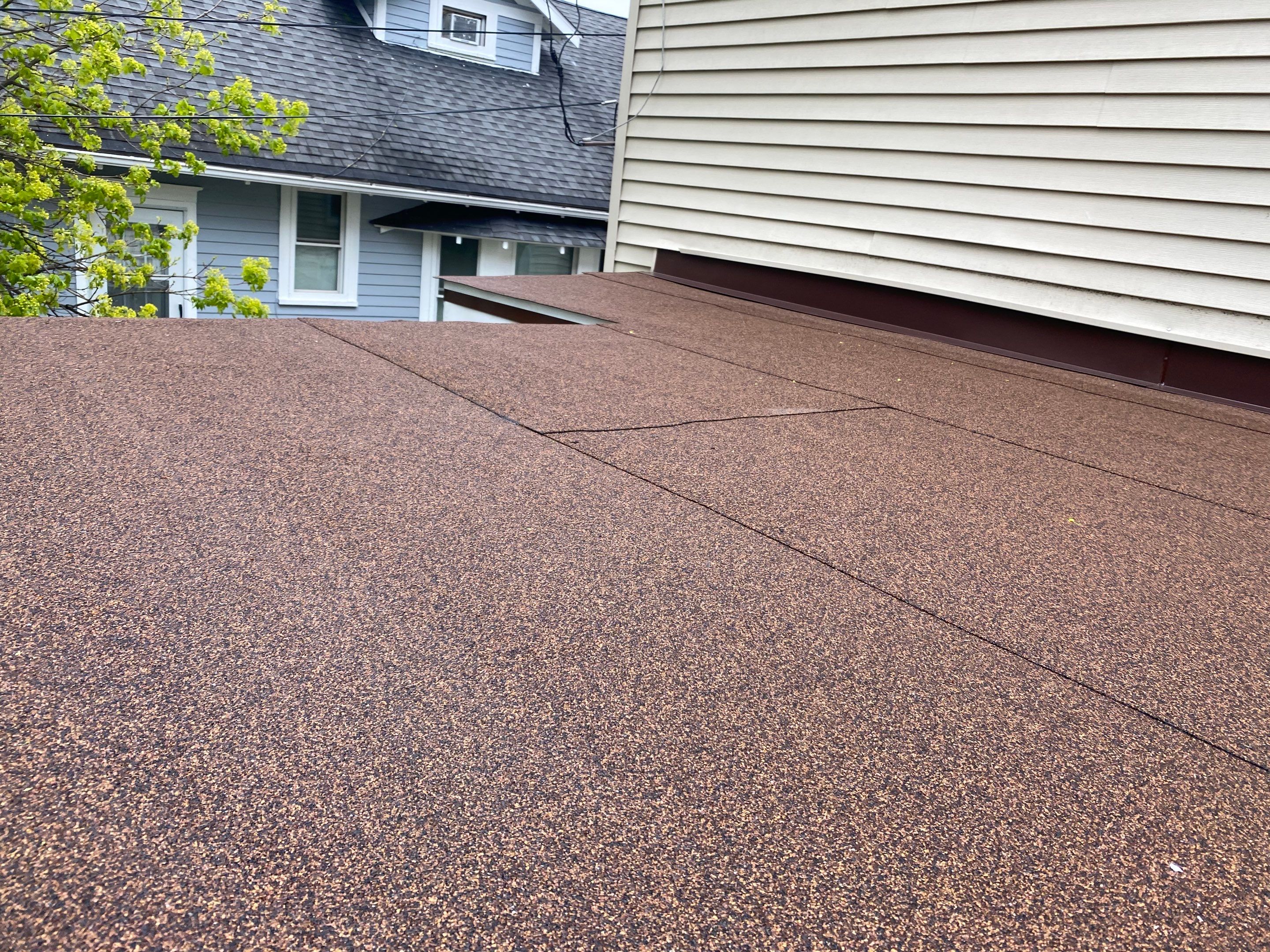 Danielle Pierce by Silver Leaf Contracting 