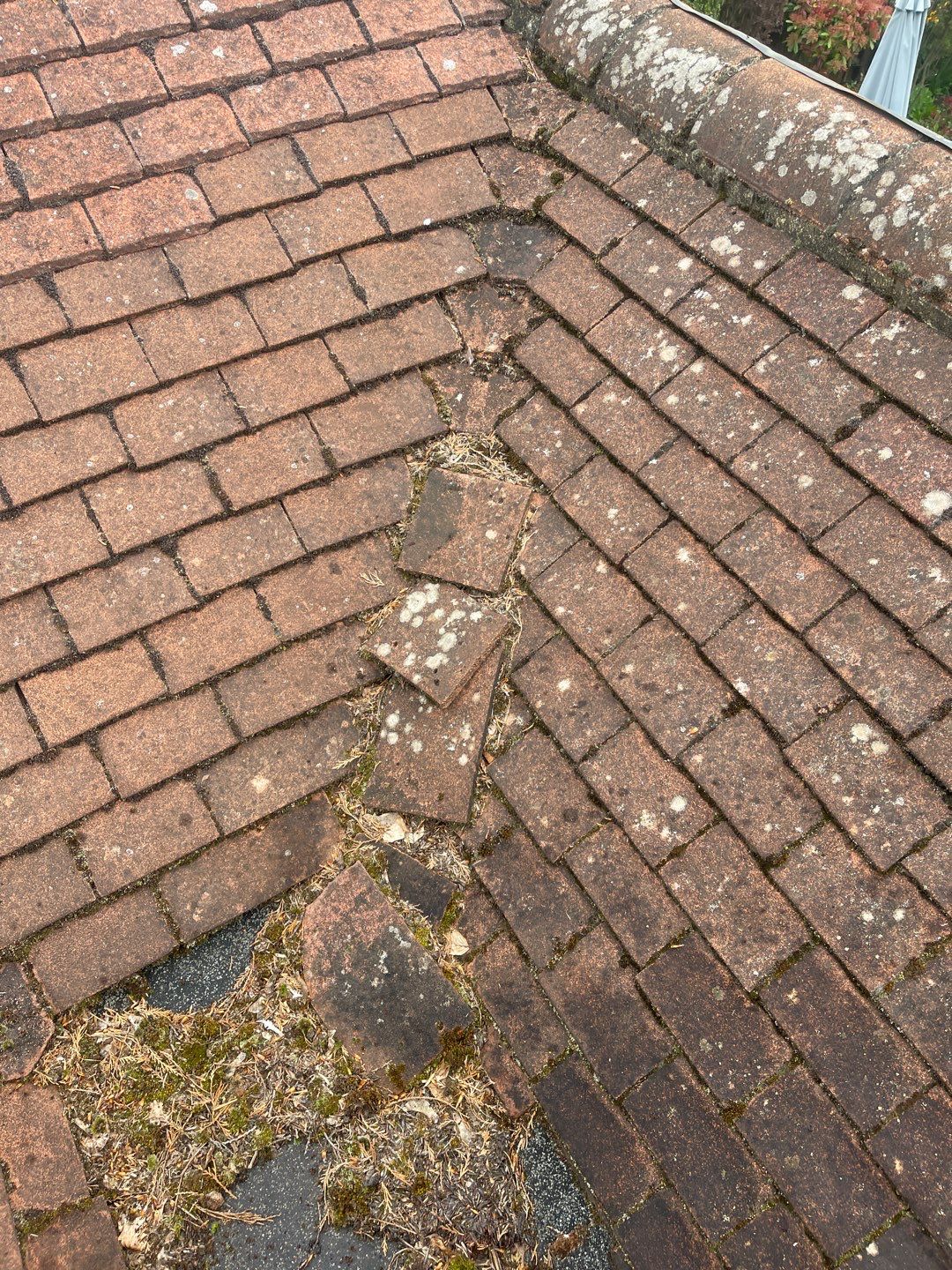 Roof Clean - Biocide Treatment using Honda 15lpm Low Pressure Washing Machine by Ges Exterior Cleaning ltd