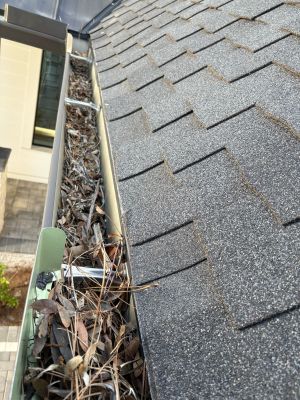 Gutter Cleaning Service in Sarasota FL