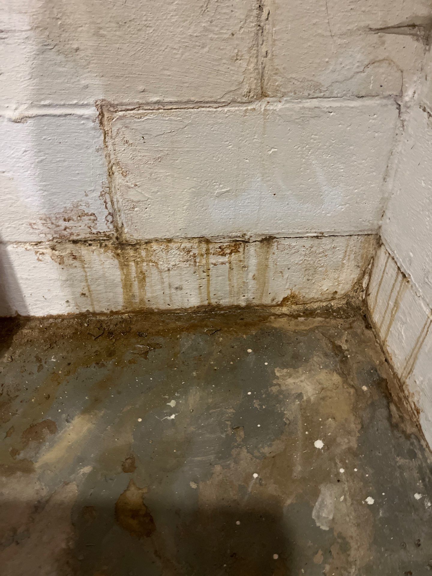 Akron Basement Waterproofing by Beck Restoration Management Group