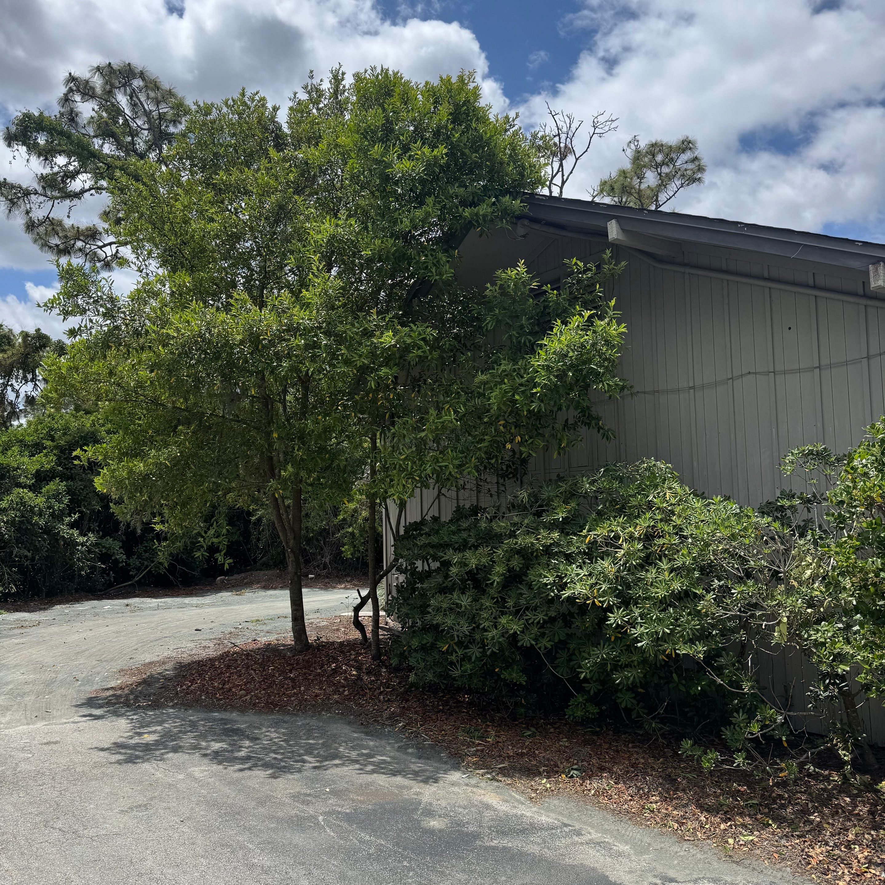 Tennis Complex | Deerwood Community by ProGreen Services