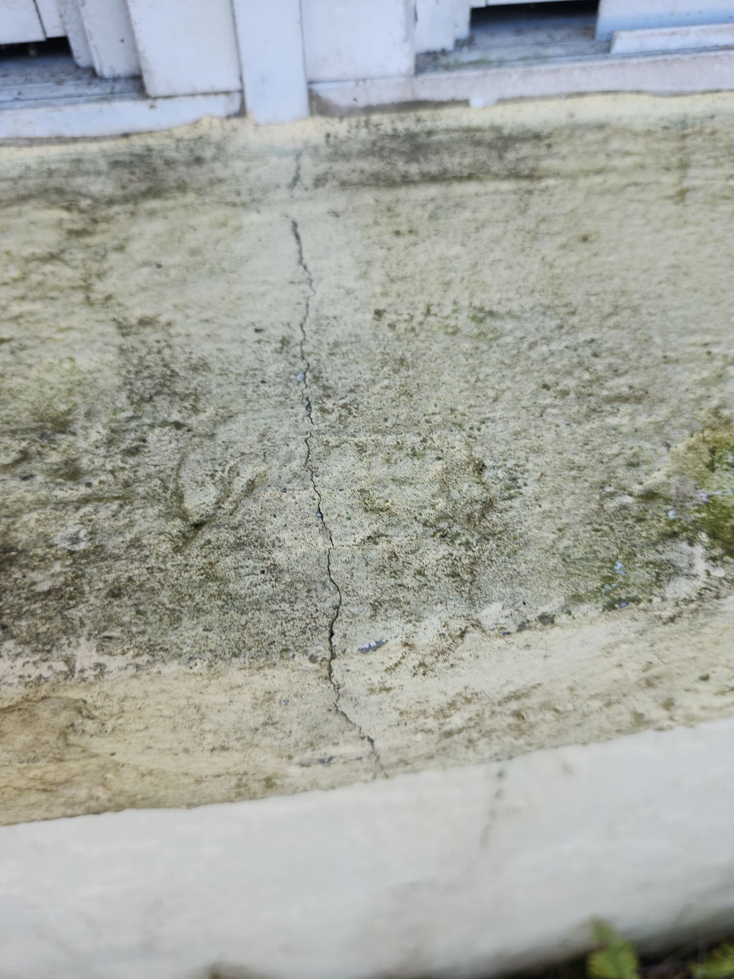 Project in Sarasota by Sunbelt Home Solutions