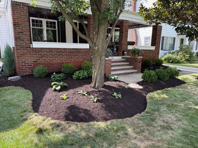 Modern Magnolia Project