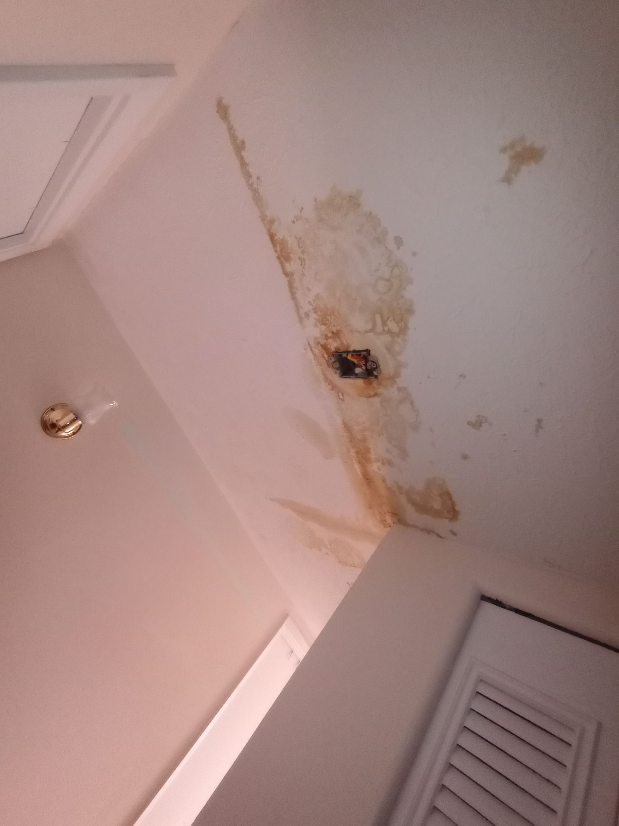 Small Mold Remediation from a past Roof Leak by ANR Restoration